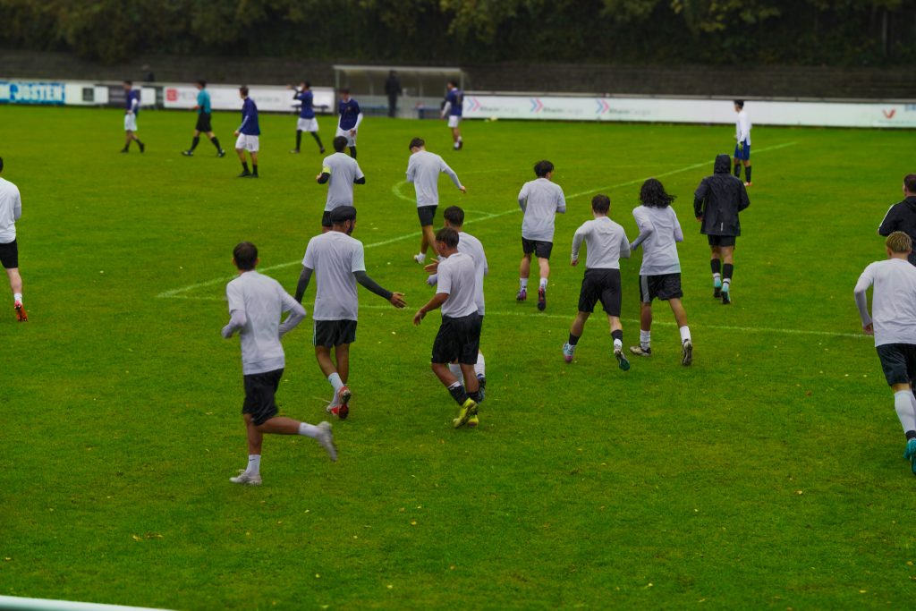 img 0355 1.jpg